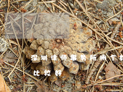 深圳律师事务所哪个好(深圳哪家律师事务所比较好)