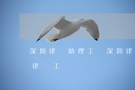 深圳律師助理工資(深圳律師事務(wù)所律師工資)