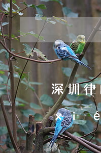 深圳律師官網(wǎng)(深圳市律師協(xié)會官網(wǎng) 律師查詢)