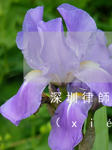 深圳律師會見預(yù)約平臺(深圳律師協(xié)會咨詢電話)