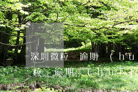 深圳微粒貸逾期會(huì)上門嗎(深圳微粒貸逾期會(huì)上門嗎)