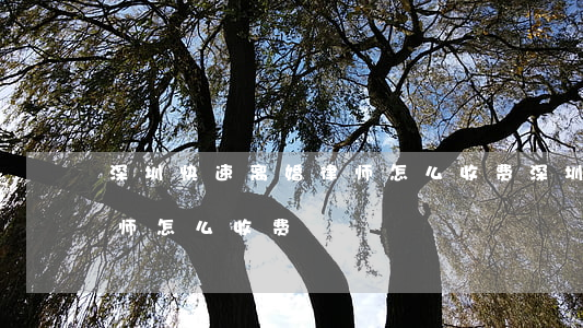 深圳快速离婚律师怎么收费(深圳快速离婚律师怎么收费)