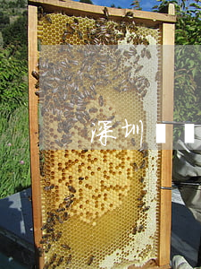深圳悅來客棧(深圳悅來客棧(寶安店))