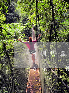 深圳房產(chǎn)律師(深圳房產(chǎn)律師)