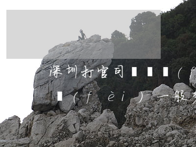 深圳打官司訴訟費(fèi)多少(官司訴訟費(fèi)一般多少錢(qián))