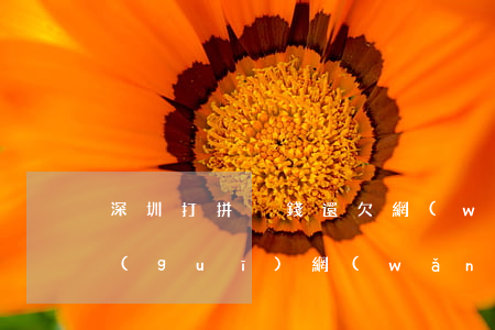 深圳打拼沒錢還欠網(wǎng)貸(欠正規(guī)網(wǎng)貸沒錢還怎么辦)