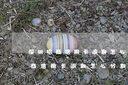 深圳招商信用卡逾期怎么分期還款-深圳招商信用卡逾期怎么分期還款的