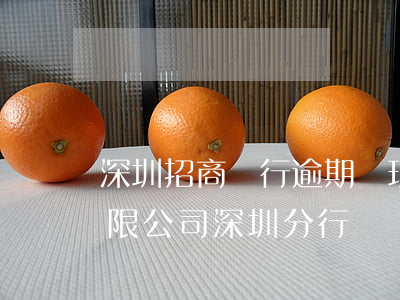 深圳招商銀行逾期處理方案(招商銀行股份有限公司深圳分行電話)