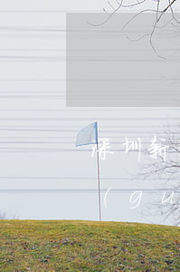 深圳新交通法規(guī)(深圳新交通法規(guī))