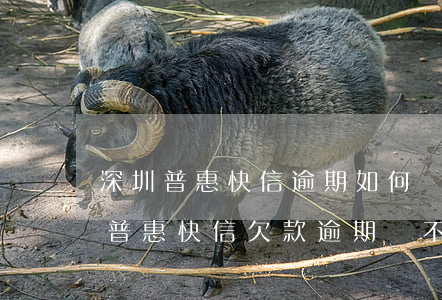 深圳普惠快信逾期如何協(xié)商還款(普惠快信欠款逾期會不會被拉黑征信)