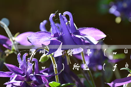 深圳曌瀮律師事務(wù)所(律師深圳事務(wù)所免費(fèi)咨詢)