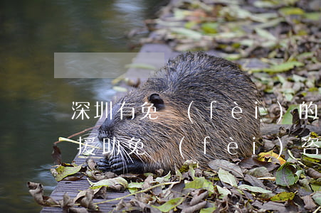 深圳有免費(fèi)的律師援助(深圳法律援助免費(fèi)咨詢電話)