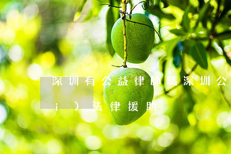 深圳有公益律師嗎(深圳公益律師免費(fèi)法律援助)