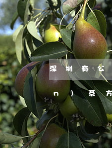 深圳有公益律師嗎(深圳公益律師聯(lián)系方式)