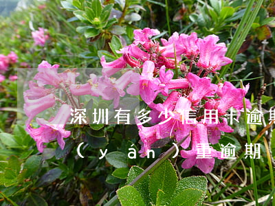 深圳有多少信用卡逾期被起(什么叫信用卡嚴(yán)重逾期)