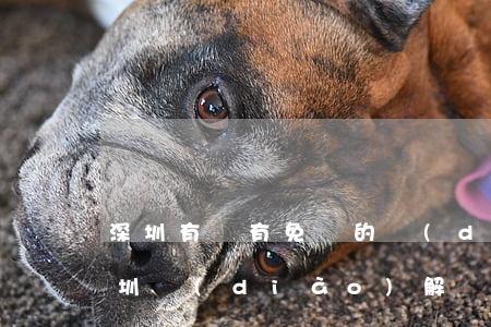 深圳有沒有免費的調(diào)解中心(深圳調(diào)解員)