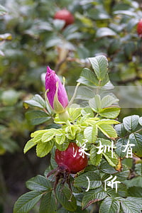 深圳有沒有勝達(dá)盈律師事務(wù)所(勝達(dá)律師律師事務(wù)所)
