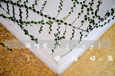 深圳有經(jīng)驗的債權(quán)債務律師找誰好-深圳有經(jīng)驗的債權(quán)債務律師找誰好一點