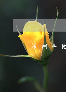 深圳本地寶租房(深圳北附近租房)