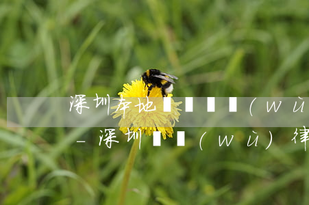 深圳本地專辦債務(wù)清欠律師哪里找-深圳債務(wù)律師在線咨詢免費(fèi)