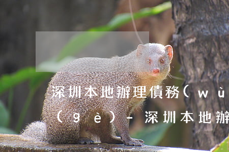 深圳本地辦理債務(wù)清欠律師選哪個(gè)-深圳本地辦理債務(wù)清欠律師選哪個(gè)機(jī)構(gòu)