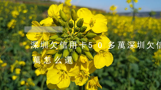 深圳欠信用卡50多萬 深圳欠信用卡50多萬怎么還
