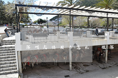 深圳欠信用卡怎么處理(深圳還信用卡)