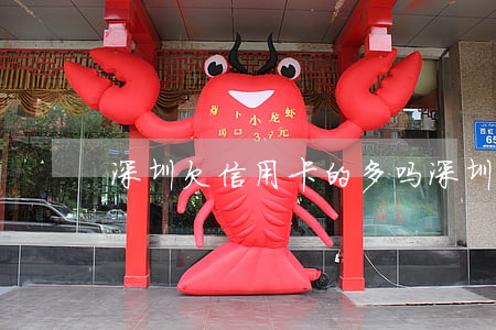 深圳欠信用卡的多吗(深圳欠信用卡的多吗)