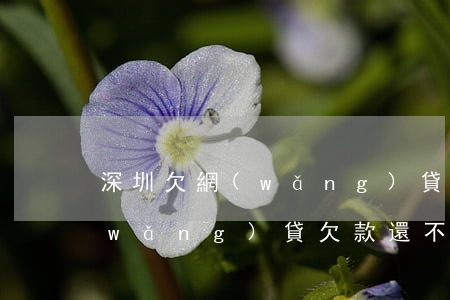 深圳欠網(wǎng)貸還不上怎么辦(網(wǎng)貸欠款還不上)