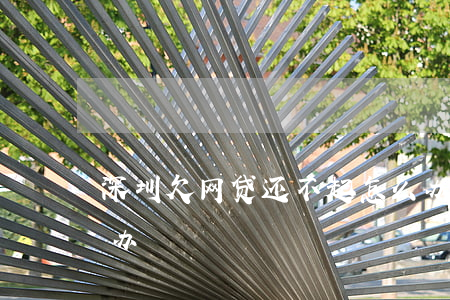 深圳欠网贷还不起怎么办(欠网贷还不上怎么办?)