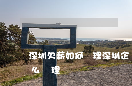 深圳欠薪如何處理，深圳企業(yè)欠薪怎么處理