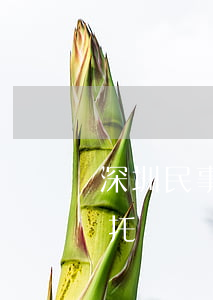 深圳民事律師怎么委托(深圳民事律師怎么委托)