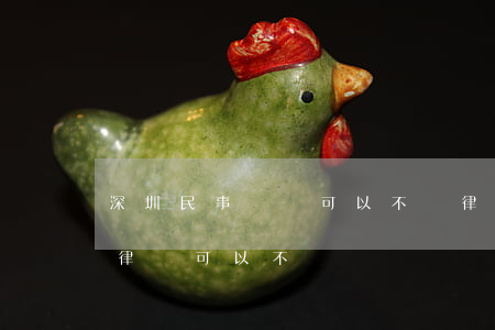 深圳民事訴訟可以不請律師嗎(法院起訴不要律師可以不)