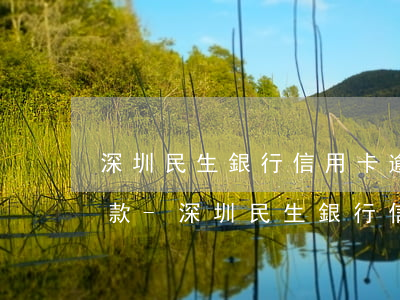 深圳民生銀行信用卡逾期協(xié)商還款-深圳民生銀行信用卡逾期協(xié)商還款電話