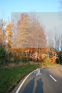 深圳法律援助律师(深圳法律援助律师申请标准)