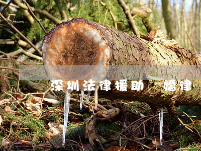 深圳法律援助離婚律師(深圳法律援助離婚律師)