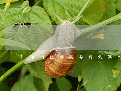 深圳法律服务网站(深圳法律咨询免费热线)