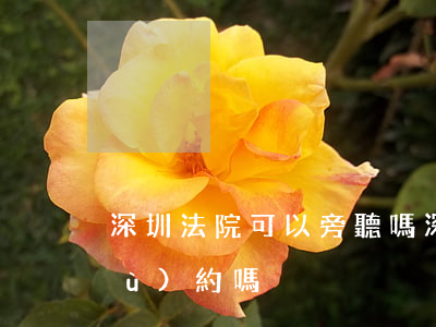 深圳法院可以旁聽嗎(深圳法院旁聽要預(yù)約嗎)