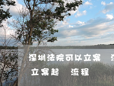 深圳法院可以立案嗎(深圳網(wǎng)上立案起訴流程)