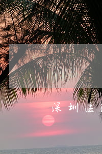 深圳法院可以調(diào)去政府嗎
