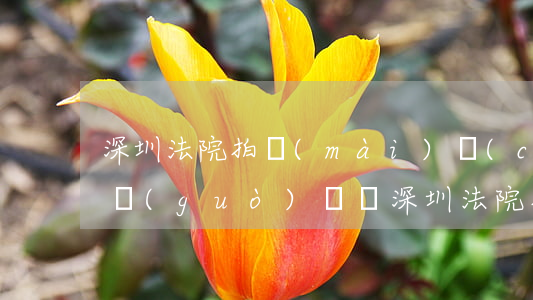 深圳法院拍賣(mài)車(chē)可以過(guò)戶嗎(深圳法院拍賣(mài)車(chē)可以過(guò)戶嗎)