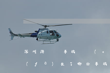 深圳游樂場事故(國內(nèi)游樂場都發(fā)生了哪些事故)