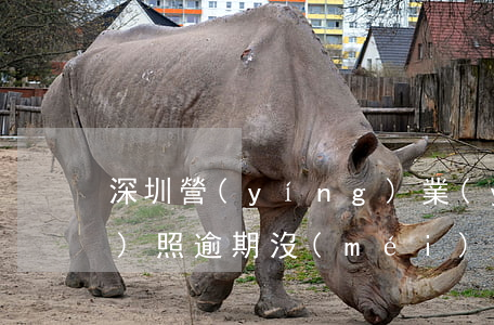 深圳營(yíng)業(yè)執(zhí)照逾期沒(méi)年報(bào)怎么辦-深圳營(yíng)業(yè)執(zhí)照逾期沒(méi)年報(bào)怎么辦理