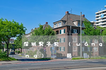 深圳男子欠網(wǎng)貸(深圳網(wǎng)貸騙局)