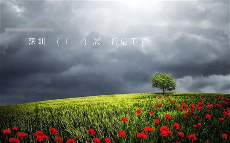 深圳發(fā)展銀行信用卡