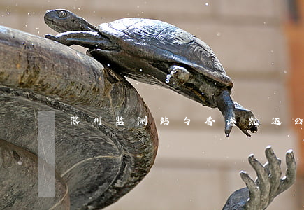 深圳监测站与香港凯达公司环境污染案