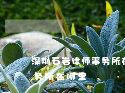 深圳石岩律师事务所在哪里(深圳石岩律师事务所在哪里)