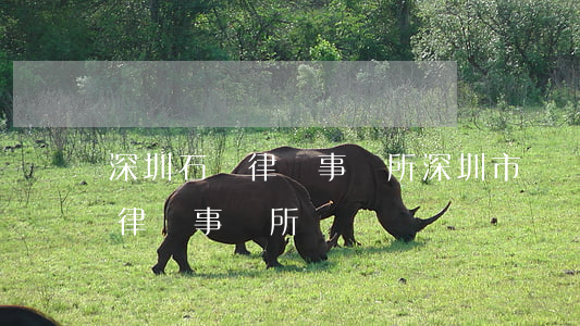 深圳石巖律師事務所(深圳市龍崗區(qū)律師事務所)