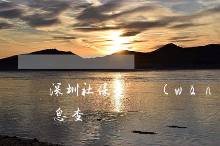 深圳社保查詢網(wǎng)站(深圳社保信息查詢)