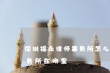 深圳福永律师事务所怎么样(深圳福永律师事务所在哪里)